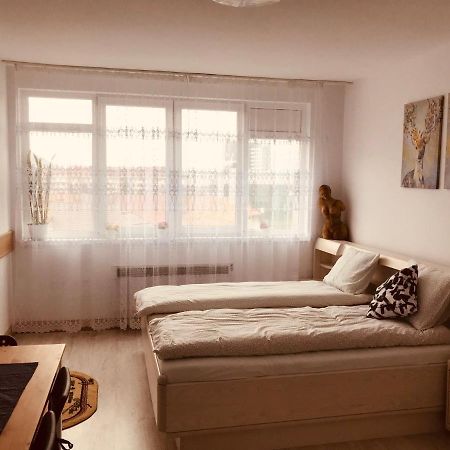 Studio 1O1O1 Apartment Piatra Neamt Exterior photo